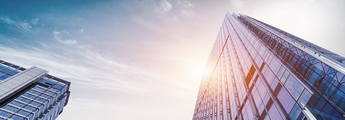 我們的優(yōu)勢(shì)